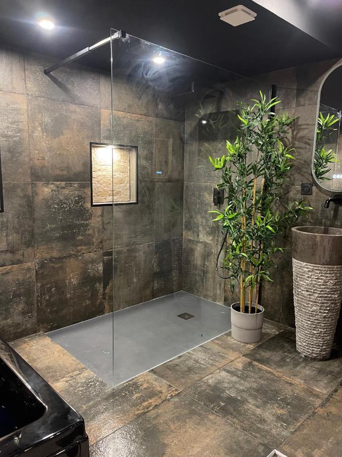 & Exotic - Balneo - Sauna - Parking Apartment Clermont-Ferrand
